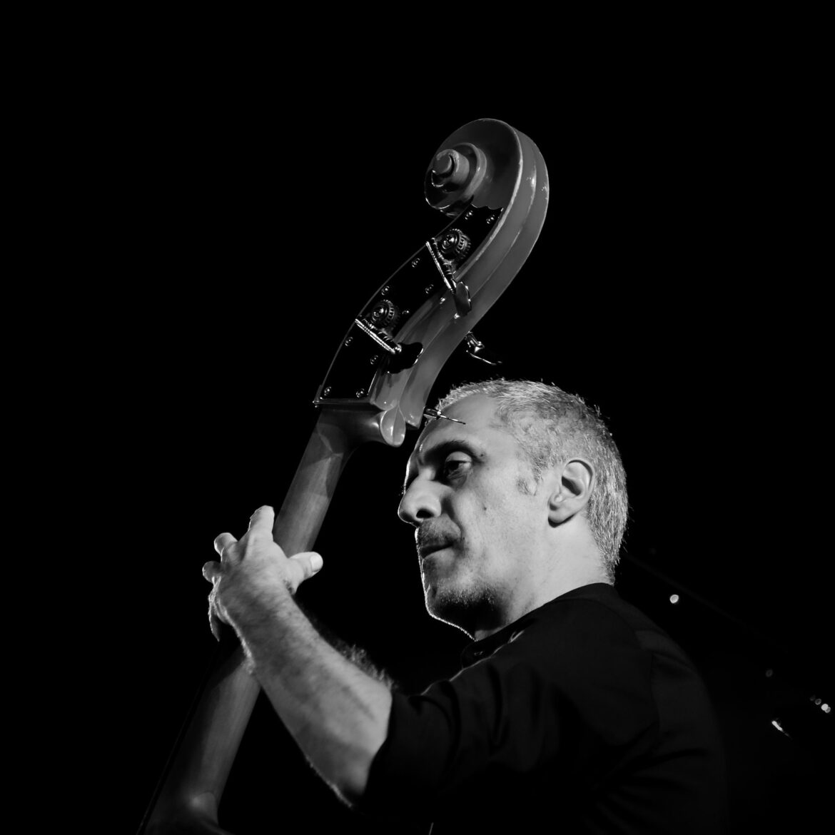 Francesco Bertone – Contrabbasso
